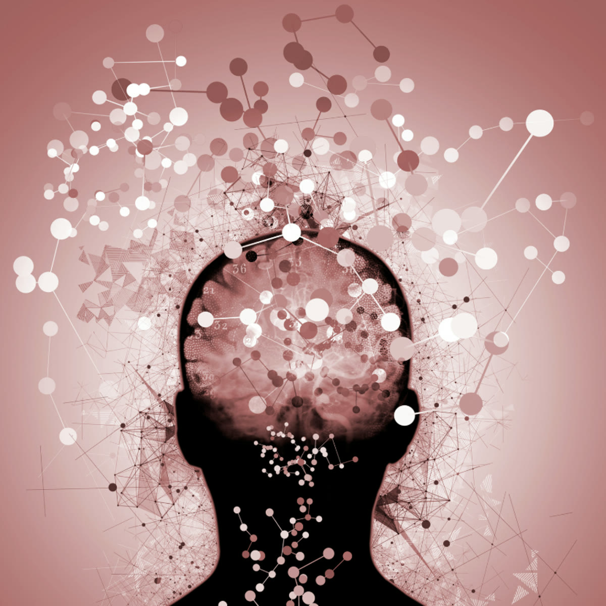 A silhouetted head with an illuminated brain, surrounded by soft connecting dots in warm rose tones