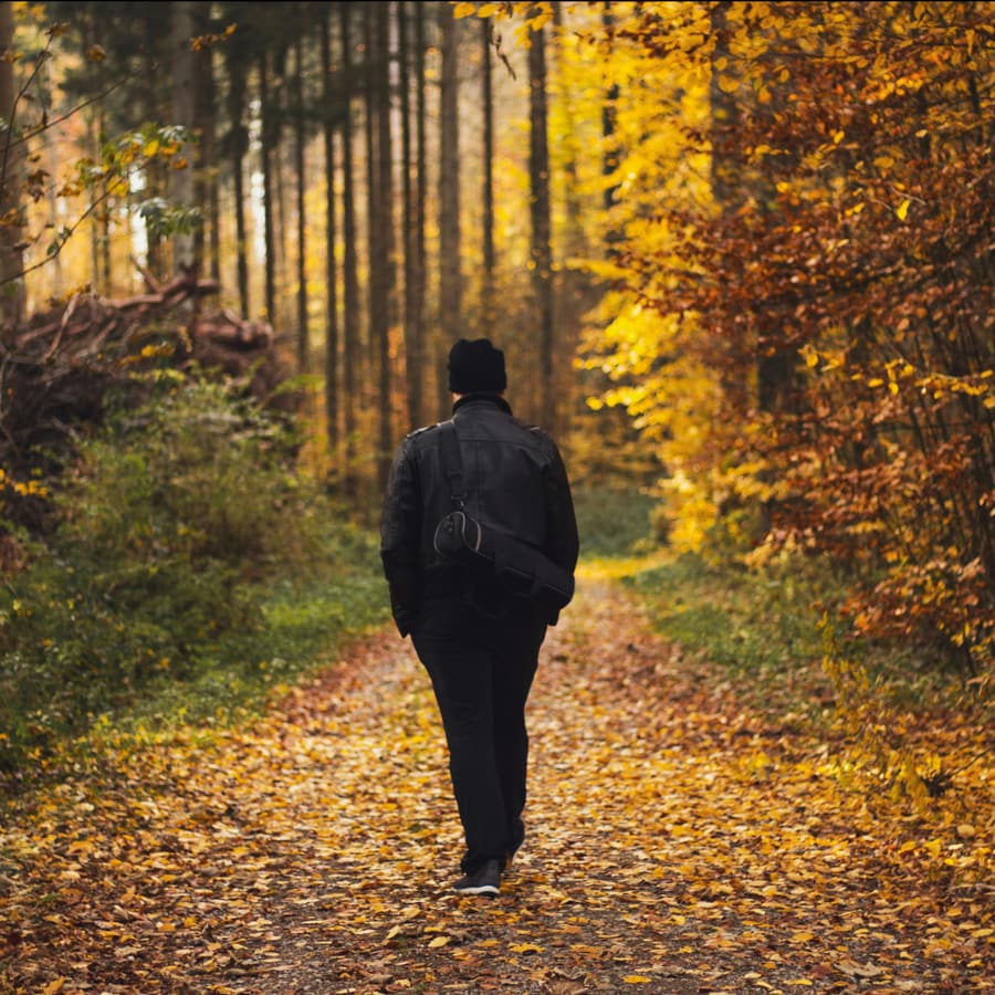 A person walking alone along a wooded path in autumn