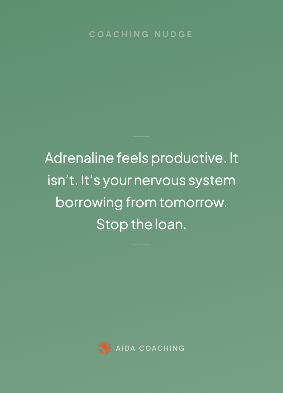 Back of RESET card 088, coaching nudge. Adrenaline feels productive. It isn't. It's your nervous system borrowing from tomorrow. Stop the loan.
