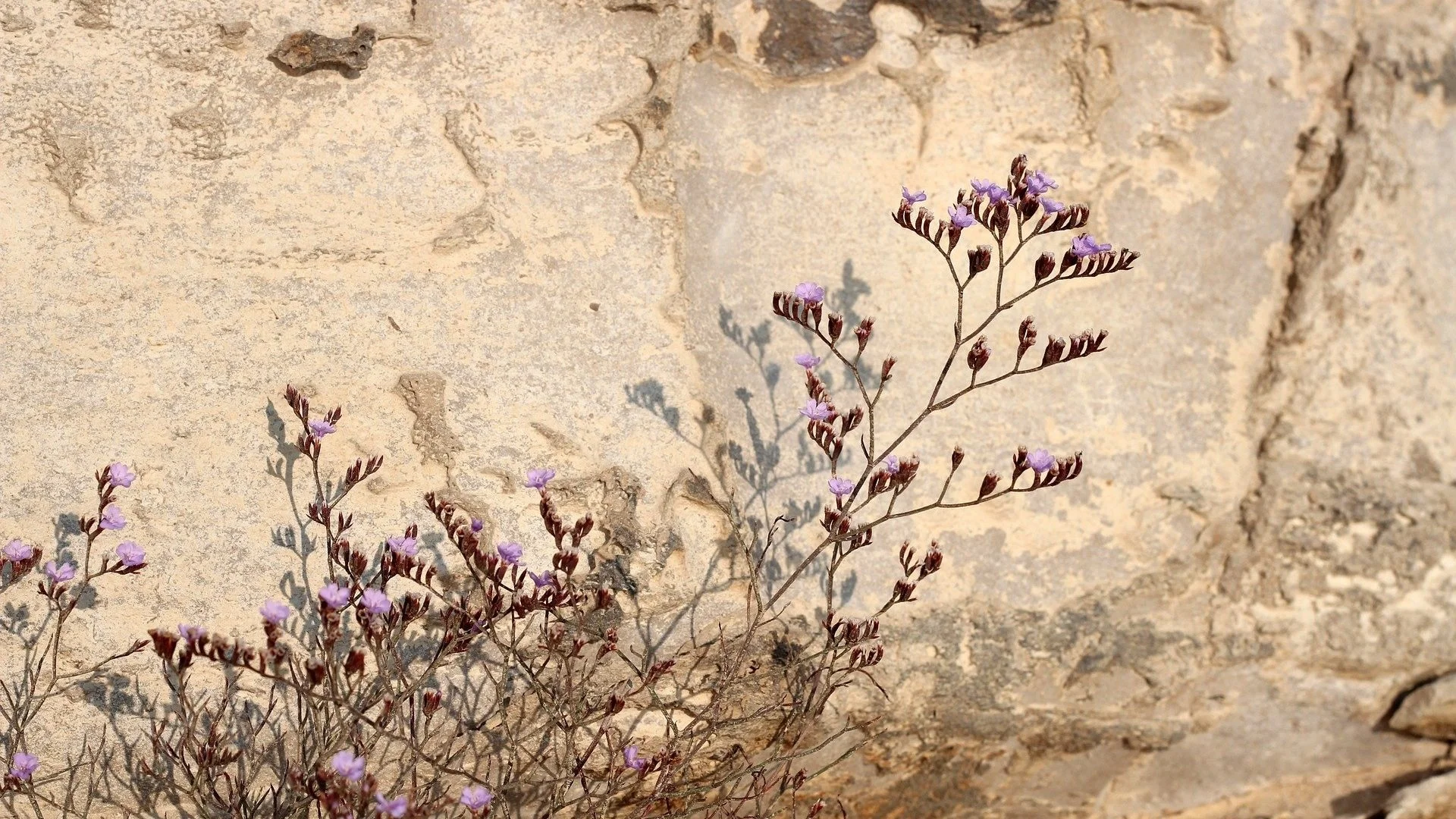 It's Time We Changed the Conversation