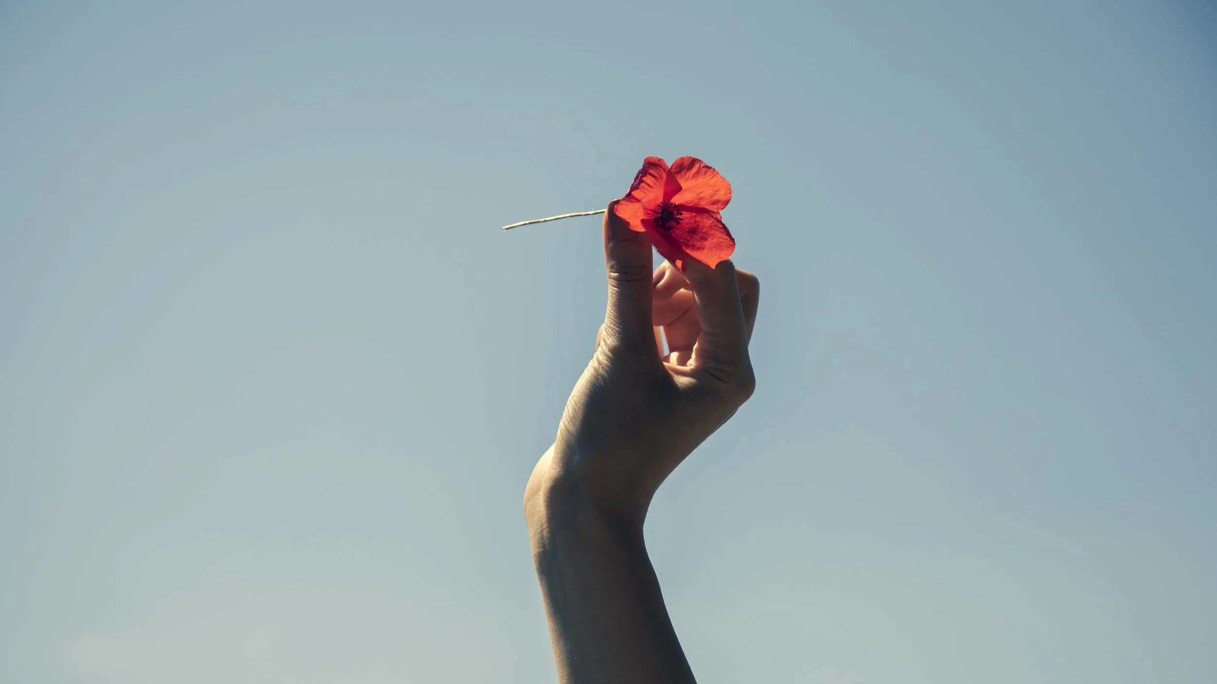 The Power of Speaking Up