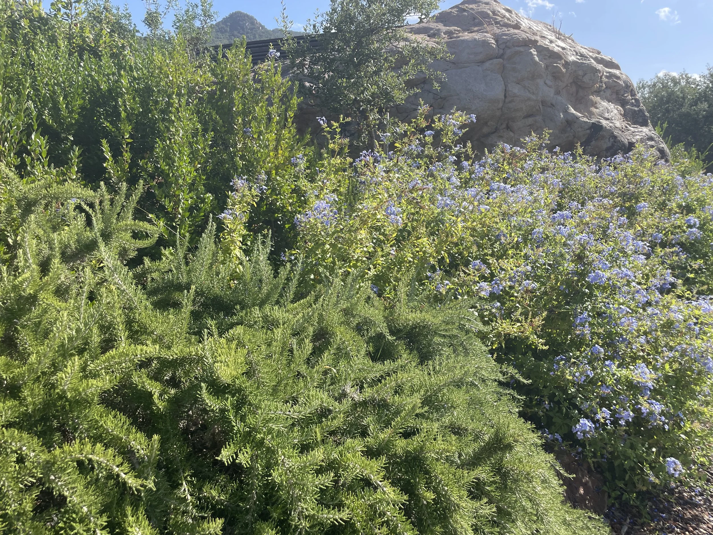 Unlock Success: Treat Your Life Like a Personal Business